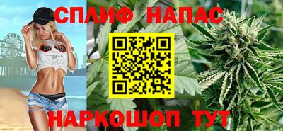 jwh Новозыбков